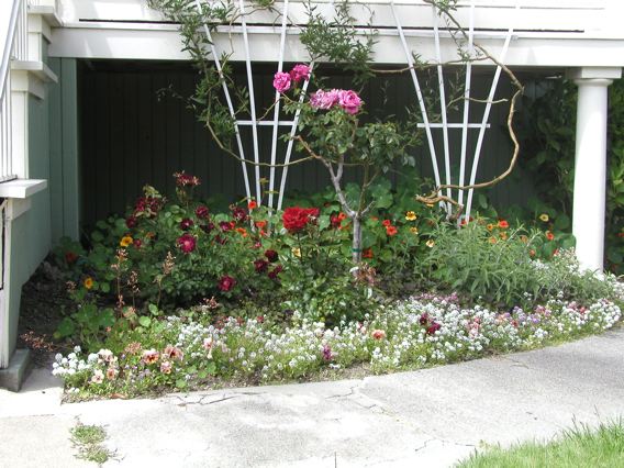 May 2007