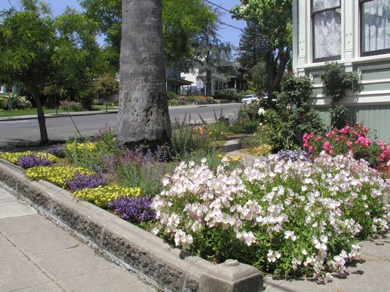 May 2007